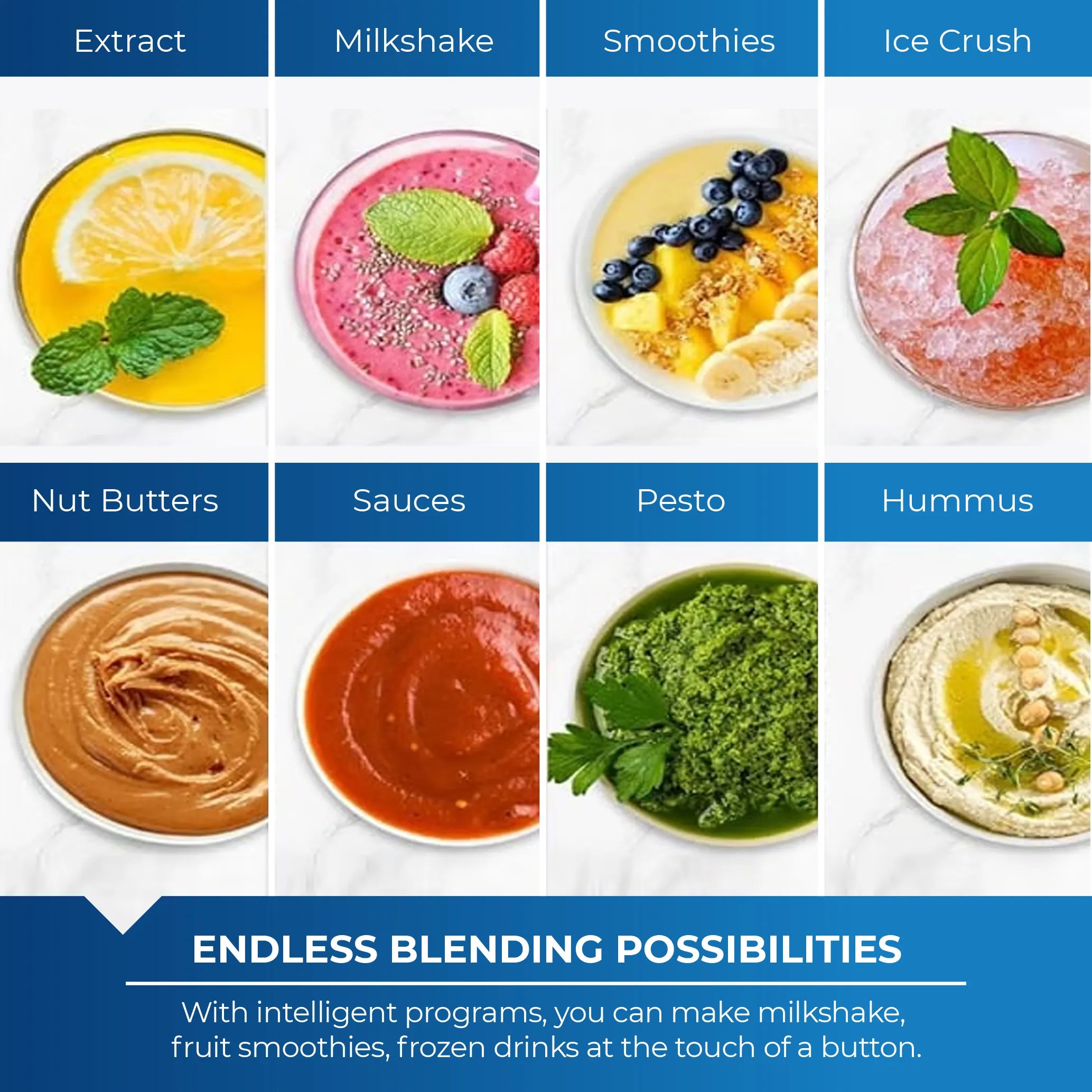Blender – VE-BL01